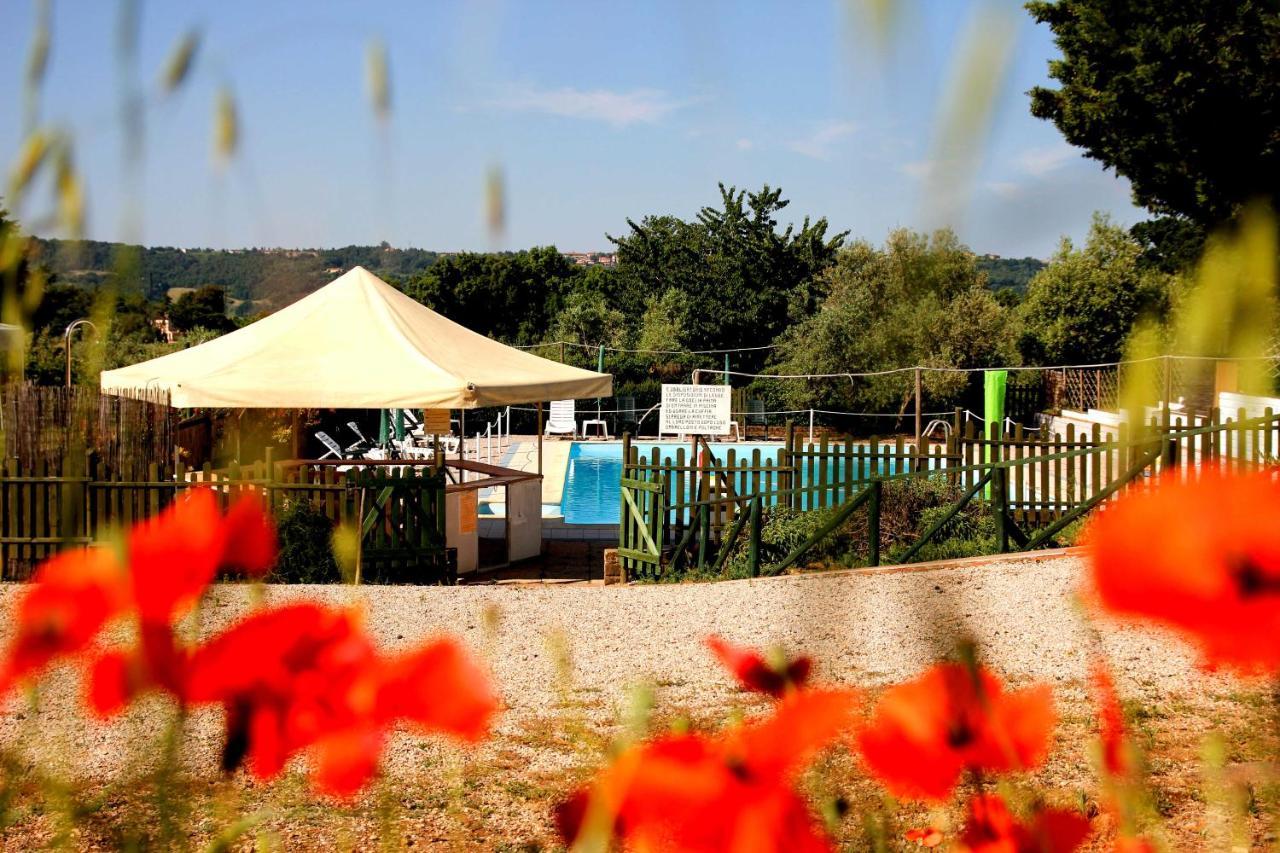 Agriturismo Il Belvedere Country Houses Massa Marittima Eksteriør billede